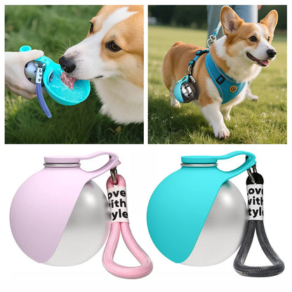 DogZio portable dog water bottle - pink and teal