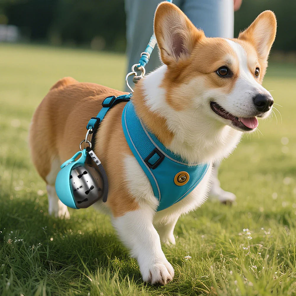 DogZio dog water bottle worn on a corgi harness
